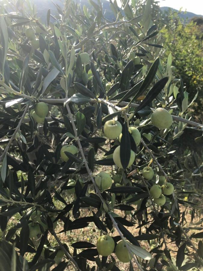 דירות רייקה Marica מראה חיצוני תמונה